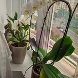 Vanzre apartament de 3 camere in zona Corneliu Coposu,metrou